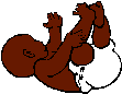 Image11.gif (1745 bytes)